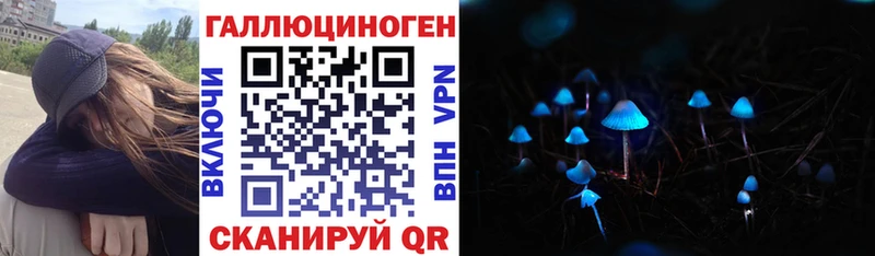 Галлюциногенные грибы Psilocybine cubensis  Райчихинск 