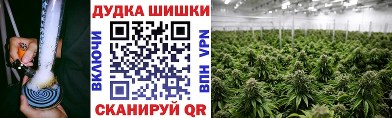 Бошки Шишки сатива  купить   Райчихинск 